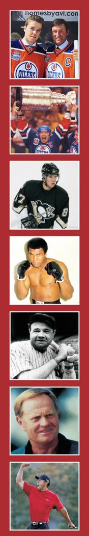 Team Memorbilia Sports Auctions
